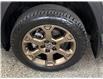 2025 Toyota RAV4 Hybrid XLE (Stk: 44131J) in Belleville - Image 28 of 28