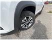 2026 Chevrolet Equinox LT (Stk: TL506528) in Calgary - Image 9 of 23