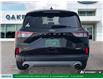 2020 Ford Escape SE (Stk: L9177A) in London - Image 6 of 13