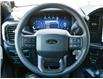 2026 Ford F-150 STX (Stk: F62378) in GEORGETOWN - Image 19 of 24