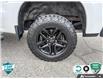 2020 Chevrolet Silverado 1500 LT Trail Boss (Stk: 26C390AAX) in Tillsonburg - Image 6 of 21