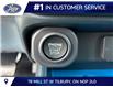 2026 Ford Maverick XLT (Stk: LFMV01971) in Tilbury - Image 12 of 15