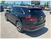 2019 Kia Sorento  (Stk: 260356A) in Kingston - Image 4 of 37