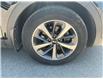 2019 Kia Sorento  (Stk: 260356A) in Kingston - Image 11 of 37