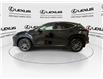 2024 Lexus NX 350h  (Stk: 14112733A) in Markham - Image 5 of 24