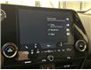 2024 Lexus NX 350h  (Stk: 14112733A) in Markham - Image 17 of 24