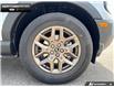 2026 Ford Bronco Sport Big Bend (Stk: 6BR6879) in Brantford - Image 6 of 23
