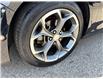 2019 Chevrolet Malibu RS (Stk: CK227191) in Caledonia - Image 9 of 46
