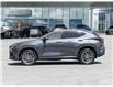 2023 Lexus NX 350  (Stk: 15U3619) in Richmond Hill - Image 4 of 29