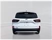 2025 Ford Escape Active (Stk: 5S014) in Williams Lake - Image 6 of 14