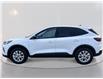 2025 Ford Escape Active (Stk: 5S014) in Williams Lake - Image 8 of 14