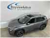 2024 Nissan Rogue SV Moonroof (Stk: 44123J) in Belleville - Image 1 of 25
