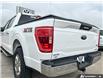 2023 Ford F-150 XLT (Stk: T-1192A) in Okotoks - Image 10 of 24