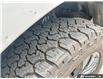 2024 Ford F-150 Lariat (Stk: B89197) in Okotoks - Image 5 of 22