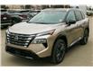 2026 Nissan Rogue Platinum (Stk: T26265) in Kamloops - Image 1 of 21