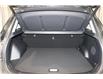 2024 Kia Seltos SX w/Black Interior (Stk: 25234 ) in Edmonton - Image 25 of 31