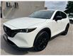 2022 Mazda CX-5 Kuro Edition (Stk: 16243) in Newmarket - Image 1 of 49