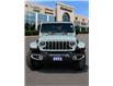2024 Jeep Wrangler Sahara (Stk: PV12284) in Essex-Windsor - Image 3 of 16