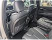 2023 Hyundai Palisade (Stk: T-1125A) in Calgary - Image 3 of 28 2023 Hyundai Palisade (Stk: T-1125A) in Calgary - Image 3 of 28