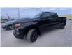 2024 Chevrolet Silverado 1500 Custom Trail Boss (Stk: 26209) in Sudbury - Image 4 of 24