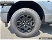 2026 Ford F-150 XLT (Stk: 6F130370) in Brantford - Image 6 of 23