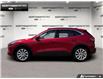 2021 Ford Escape Titanium Hybrid (Stk: P11786) in Brantford - Image 3 of 23