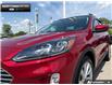 2021 Ford Escape Titanium Hybrid (Stk: P11786) in Brantford - Image 7 of 23