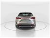 2026 Lexus NX 350  (Stk: 14112811) in Markham - Image 6 of 17