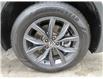 2022 Volkswagen Tiguan Comfortline (Stk: K21550A) in Ottawa - Image 16 of 19