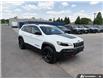 2023 Jeep Cherokee Trailhawk (Stk: 107417) in London - Image 6 of 26