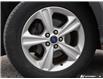 2014 Ford Escape SE (Stk: 175669) in London - Image 6 of 27