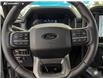 2026 Ford F-150 Tremor (Stk: 26AT2861) in Airdrie - Image 14 of 25