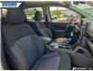 2026 Ford Ranger XLT (Stk: 28691) in Dartmouth - Image 21 of 24