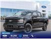 2026 Ford F-150 XLT (Stk: TA-479) in Calgary - Image 1 of 25