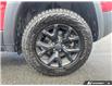 2017 Jeep Cherokee Trailhawk (Stk: T64486) in Richmond - Image 6 of 25