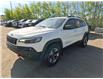 2019 Jeep Cherokee Trailhawk (Stk: 166113) in London - Image 1 of 6