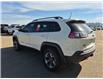 2019 Jeep Cherokee Trailhawk (Stk: 166113) in London - Image 3 of 6