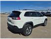 2019 Jeep Cherokee Trailhawk (Stk: 166113) in London - Image 4 of 6