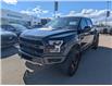 2019 Ford F-150 Raptor (Stk: 19530) in Calgary - Image 1 of 27