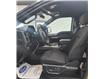 2017 Ford F-150 XLT (Stk: UD13806) in Shellbrook - Image 10 of 21