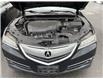 2015 Acura TLX Elite (Stk: 802014) in Ottawa - Image 25 of 25 2015 Acura TLX Elite (Stk: 802014) in Ottawa - Image 25 of 25