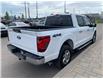 2024 Ford F-150 XLT (Stk: 33127AD) in Thunder Bay - Image 5 of 13
