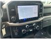 2024 Ford F-150 XLT (Stk: 33127AD) in Thunder Bay - Image 13 of 13