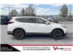2020 Honda CR-V Black Edition (Stk: B9142) in Calgary - Image 3 of 5