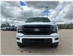 2026 Ford F-150 Lariat (Stk: T16667) in Hague - Image 3 of 14