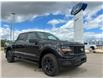 2026 Ford F-150 STX (Stk: T19769) in Hague - Image 2 of 14