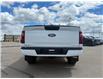 2026 Ford F-150 XLT (Stk: T19560) in Hague - Image 7 of 14