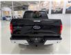2016 Ford F-150 XLT (Stk: A9046-1-1) in Saint-Eustache - Image 4 of 26