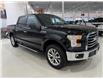 2016 Ford F-150 XLT (Stk: A9046-1-1) in Saint-Eustache - Image 5 of 26