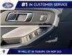 2026 Ford Explorer Tremor (Stk: LFEX02004) in Tilbury - Image 6 of 15